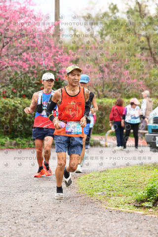 2026左岸竹東櫻花馬拉松Zhudong Sakura Marathon