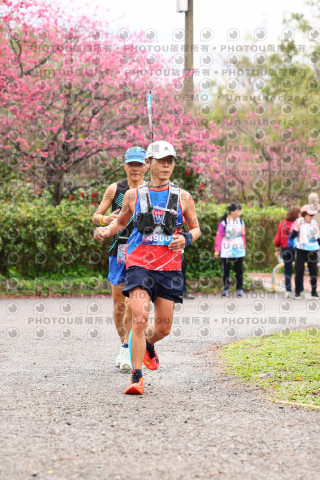 2026左岸竹東櫻花馬拉松Zhudong Sakura Marathon