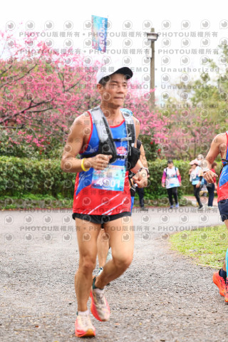 2026左岸竹東櫻花馬拉松Zhudong Sakura Marathon