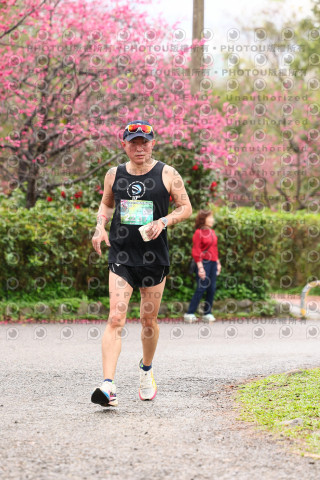 2026左岸竹東櫻花馬拉松Zhudong Sakura Marathon