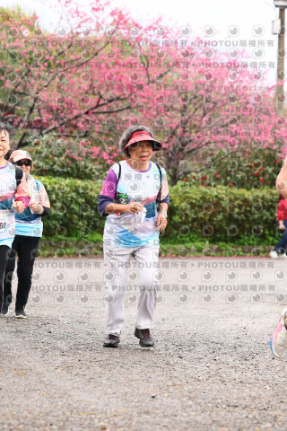 2026左岸竹東櫻花馬拉松Zhudong Sakura Marathon