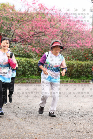 2026左岸竹東櫻花馬拉松Zhudong Sakura Marathon