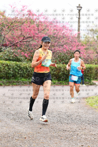 2026左岸竹東櫻花馬拉松Zhudong Sakura Marathon