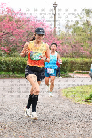 2026左岸竹東櫻花馬拉松Zhudong Sakura Marathon