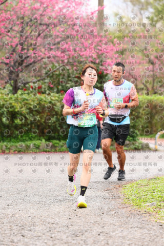 2026左岸竹東櫻花馬拉松Zhudong Sakura Marathon