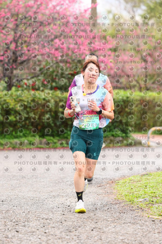 2026左岸竹東櫻花馬拉松Zhudong Sakura Marathon