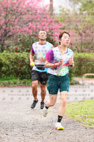 2026左岸竹東櫻花馬拉松Zhudong Sakura Marathon