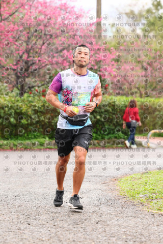 2026左岸竹東櫻花馬拉松Zhudong Sakura Marathon