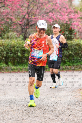 2026左岸竹東櫻花馬拉松Zhudong Sakura Marathon