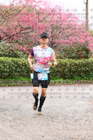 2026左岸竹東櫻花馬拉松Zhudong Sakura Marathon