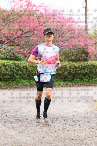 2026左岸竹東櫻花馬拉松Zhudong Sakura Marathon