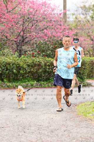 2026左岸竹東櫻花馬拉松Zhudong Sakura Marathon