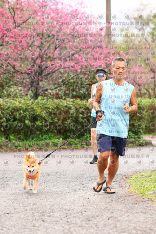 2026左岸竹東櫻花馬拉松Zhudong Sakura Marathon