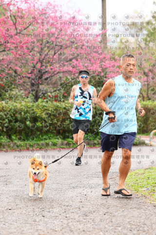 2026左岸竹東櫻花馬拉松Zhudong Sakura Marathon