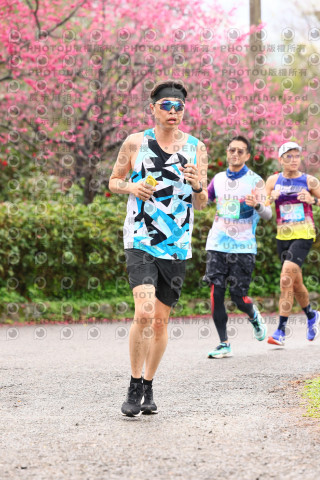 2026左岸竹東櫻花馬拉松Zhudong Sakura Marathon