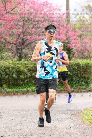 2026左岸竹東櫻花馬拉松Zhudong Sakura Marathon