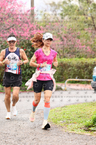 2026左岸竹東櫻花馬拉松Zhudong Sakura Marathon