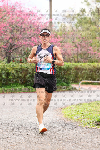2026左岸竹東櫻花馬拉松Zhudong Sakura Marathon