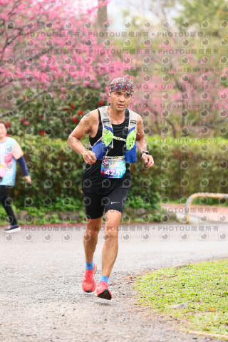 2026左岸竹東櫻花馬拉松Zhudong Sakura Marathon