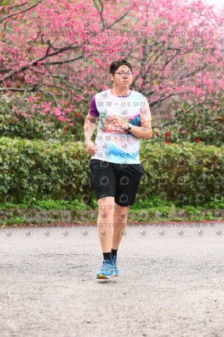 2026左岸竹東櫻花馬拉松Zhudong Sakura Marathon