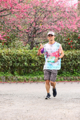 2026左岸竹東櫻花馬拉松Zhudong Sakura Marathon
