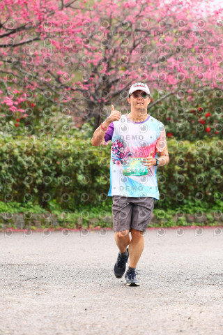 2026左岸竹東櫻花馬拉松Zhudong Sakura Marathon