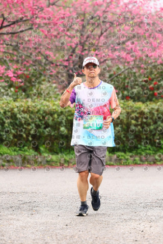 2026左岸竹東櫻花馬拉松Zhudong Sakura Marathon