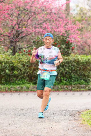 2026左岸竹東櫻花馬拉松Zhudong Sakura Marathon