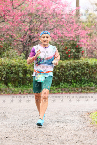 2026左岸竹東櫻花馬拉松Zhudong Sakura Marathon