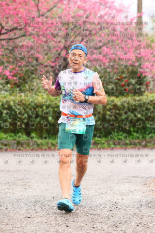 2026左岸竹東櫻花馬拉松Zhudong Sakura Marathon