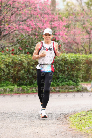 2026左岸竹東櫻花馬拉松Zhudong Sakura Marathon