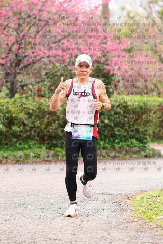 2026左岸竹東櫻花馬拉松Zhudong Sakura Marathon