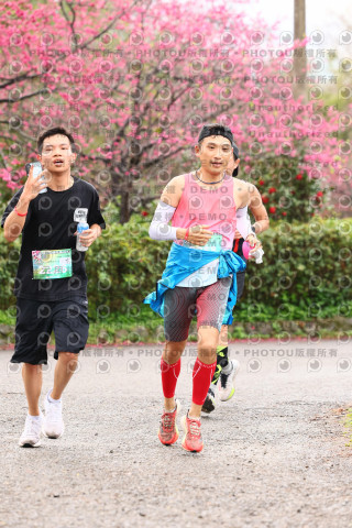2026左岸竹東櫻花馬拉松Zhudong Sakura Marathon
