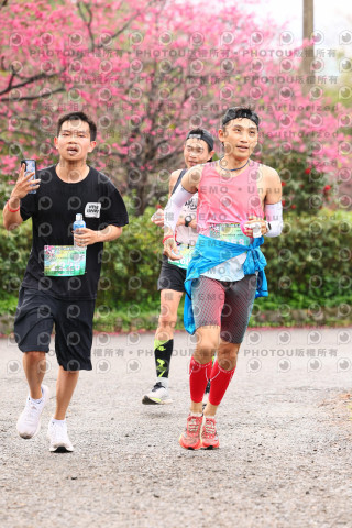 2026左岸竹東櫻花馬拉松Zhudong Sakura Marathon