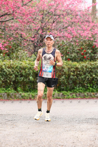2026左岸竹東櫻花馬拉松Zhudong Sakura Marathon