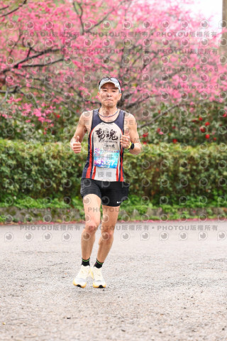 2026左岸竹東櫻花馬拉松Zhudong Sakura Marathon