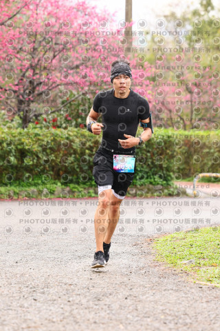 2026左岸竹東櫻花馬拉松Zhudong Sakura Marathon
