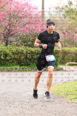 2026左岸竹東櫻花馬拉松Zhudong Sakura Marathon