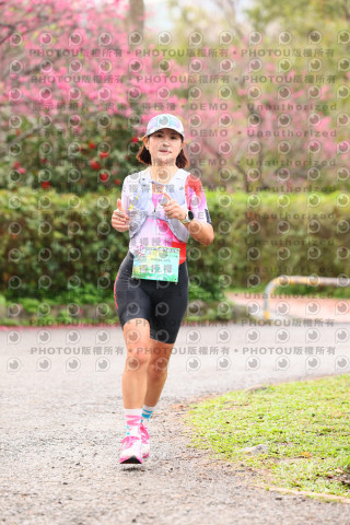 2026左岸竹東櫻花馬拉松Zhudong Sakura Marathon