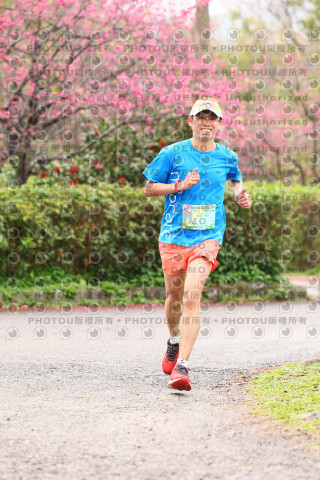 2026左岸竹東櫻花馬拉松Zhudong Sakura Marathon