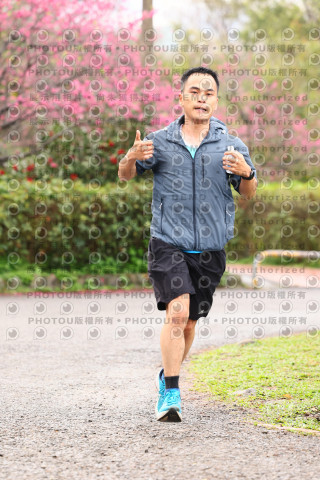 2026左岸竹東櫻花馬拉松Zhudong Sakura Marathon