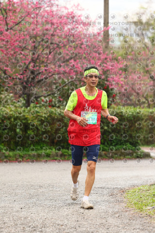2026左岸竹東櫻花馬拉松Zhudong Sakura Marathon