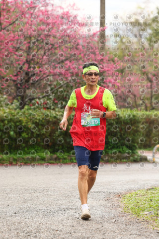 2026左岸竹東櫻花馬拉松Zhudong Sakura Marathon