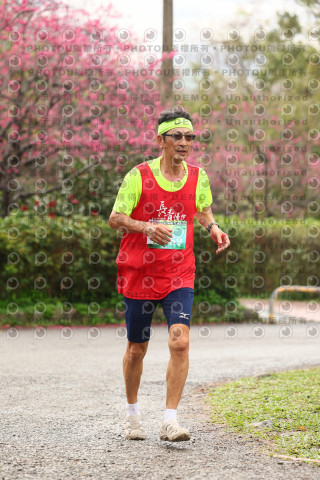 2026左岸竹東櫻花馬拉松Zhudong Sakura Marathon