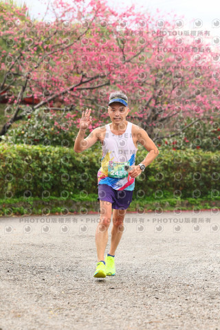 2026左岸竹東櫻花馬拉松Zhudong Sakura Marathon