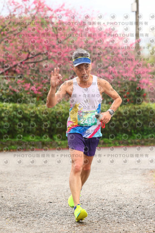 2026左岸竹東櫻花馬拉松Zhudong Sakura Marathon