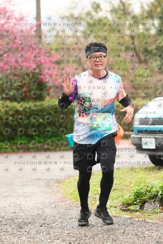 2026左岸竹東櫻花馬拉松Zhudong Sakura Marathon