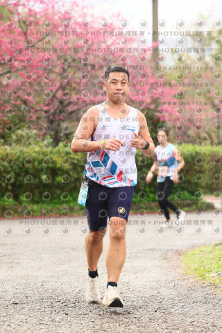 2026左岸竹東櫻花馬拉松Zhudong Sakura Marathon