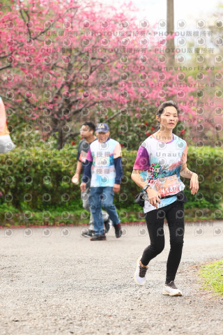 2026左岸竹東櫻花馬拉松Zhudong Sakura Marathon