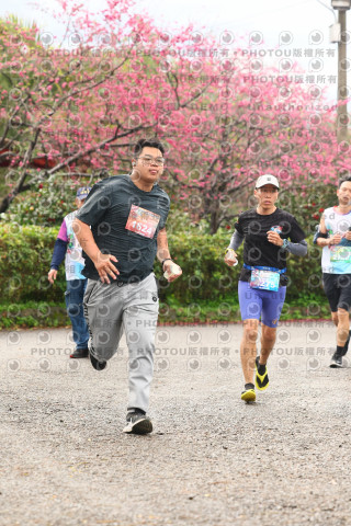 2026左岸竹東櫻花馬拉松Zhudong Sakura Marathon